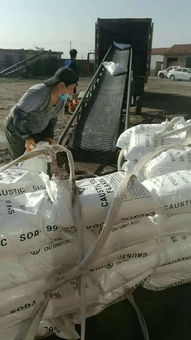 新疆環(huán)保宣城片堿生產(chǎn)廠家——優(yōu)質現(xiàn)貨供應