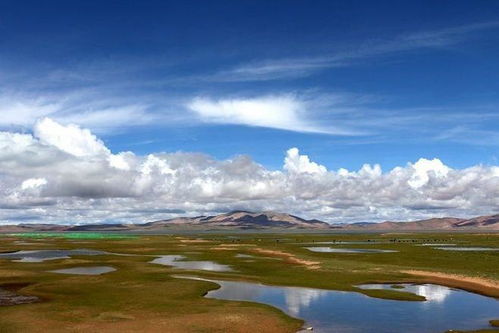 人間禁地可可西里 新疆環(huán)保的挑戰(zhàn)與守護(hù)