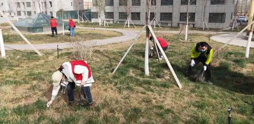 東城街道馬家坪社區(qū) “雙報到”黨員先鋒行，攜手共建美麗家園