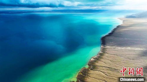 阿爾金山 生態(tài)畫卷徐徐展開 野生動物家園煥新顏