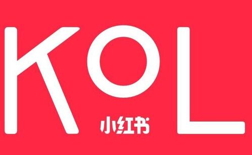 蕓眾科技 借力小紅書KOL達(dá)人，打造產(chǎn)品推廣種草與測(cè)評(píng)新范式